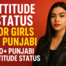 Attitude Status For Girls In Punjabi – 80+ Punjabi Attitude Status