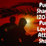 Punjabi Shayari – 120+ Best Punjabi Love And Attitude Shayari