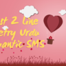 Best 2 Line Poetry Urdu Romantic SMS
