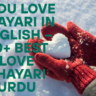 Urdu Love Shayari In English – 90+ Best Love Shayari Urdu