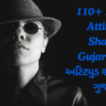 110+ Best Attitude Shayari Gujarati – અટિટ્યુડ શાયરી ગુજરાતી