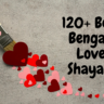 120+ Best Bengali Love Shayari