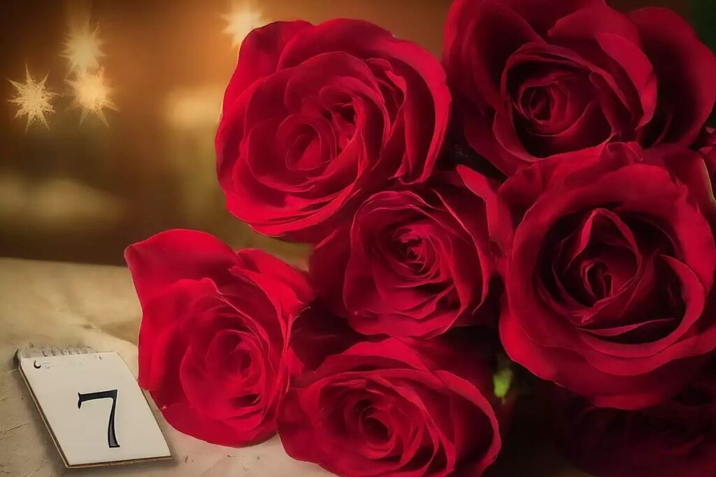 rose day