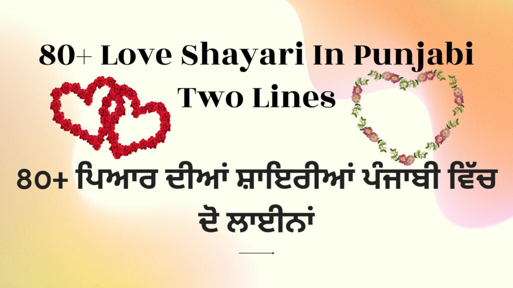 80+ Love Shayari In Punjabi Two Lines
