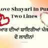 80+ Love Shayari In Punjabi Two Lines