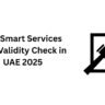 ICA Smart Services Visa Validity Check in UAE 2025