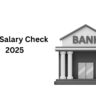 Lulu Salary Check 2025
